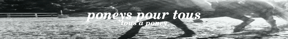 poneys pour tous